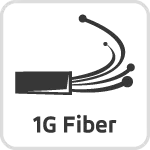 1G FIBER