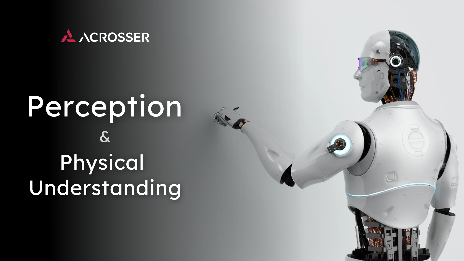 The Perception and Physical Understanding of Physical AI